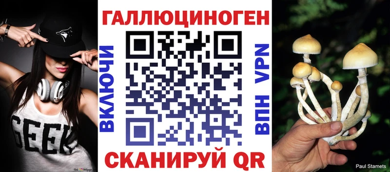 как найти закладки  Славск  Галлюциногенные грибы Psilocybe 